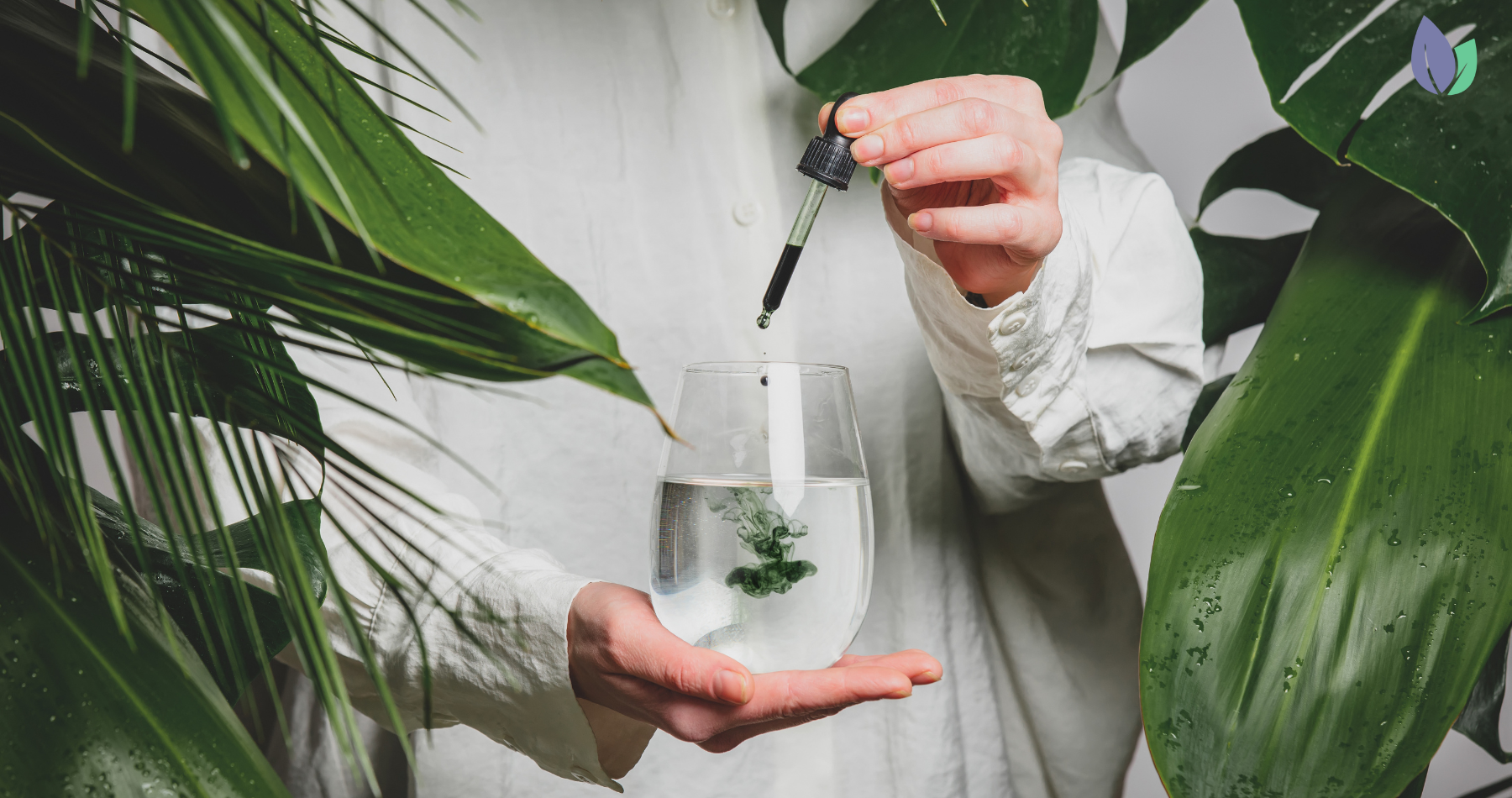 Things You Need to Know Before Buying Liquid Chlorophyll Drops