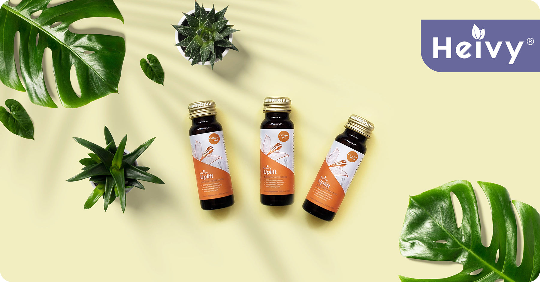 Unwrinkle & Stay Young with Heivy UPLIFT:Fighting Skin Glycation with Ease