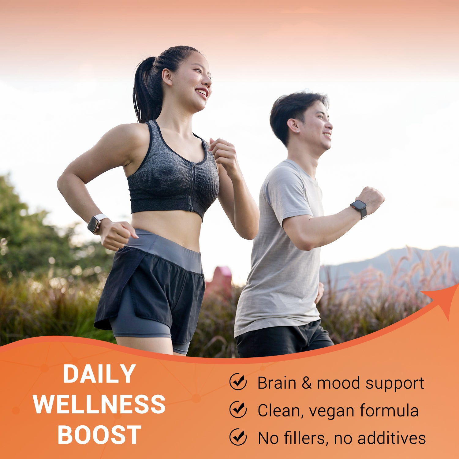 Acetyl-L Carnitine 500 mg, Amino Acid, Suppots Brain & Nerve Health, N Heivy Acetyl-L Carnitine 500 mg, Amino Acid, Suppots Brain & Nerve Health, N Heivy